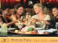 Mystic Fish, Belleair Blf, FL