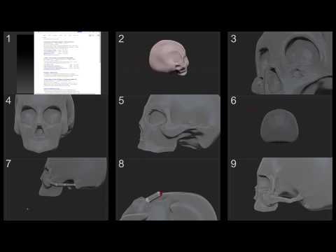 how to practice zbrush
