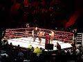bodogfight-301107-russia-vs-usa-.html