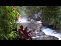 Discover Costa Rica - YouTube