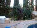 videos de Pool of the year.MPG