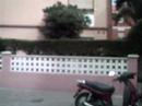 horta