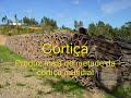 Hino Nacional Português 