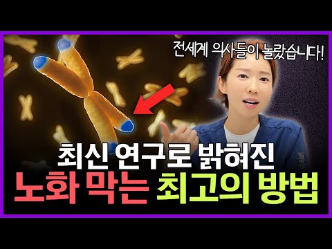 과학으로 밝혀진 "노화를 막는 최고의 방법" | 아프지않고 오래 살고싶다면 알아야 할 노화 예방법