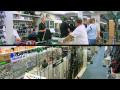 Chapmans Angling Advert	- www.chapmansangling.co.uk  
