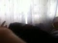 Video-0011.mp4