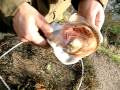 Pike fishing bosherston lilly ponds Pembroke