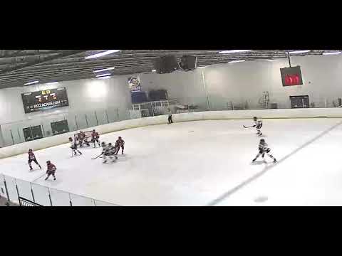 USHL Combine Entry and Goal