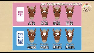 #30 馬の顔の特徴について学ぼう!