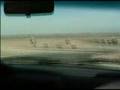 Willow Springs 5-3-07