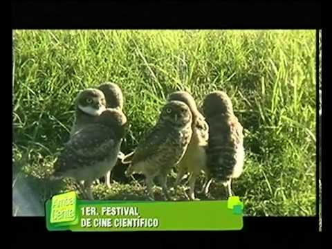 Imagen de previsualización de YouTube