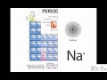 ion cation anion
