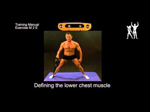 how to define upper chest