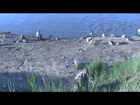 рыбалка видео на чограйском видео рыбалка видео в чограйском видео