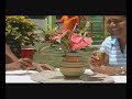 St.Lucia Habitat Terrace Saint Lucia