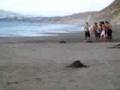 vacilando en horcon (pollo al agua)