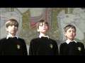 Toelzer Knabenchor - June 2009 - Mozart - Drei (zehn !) Knaben