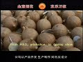 Liuyang international fireworks show 2007 visit us Liuyang international fireworks show 2007 visit us