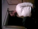 carlo verdone show