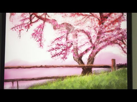 動画