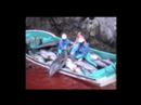 esto-es-arte-guillermo-habacuc-vargas.html