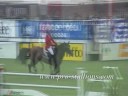 equestrian sports, Chris Brown; Wall to wall equestrian sports, Chris Brown; Wall to wall
