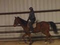 1/8/09 Riding Lesson 1/8/09 Riding Lesson