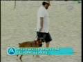 videos de Cachorros luxuosos com Móveis de Quarto e Roupa de Cama