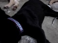 Thumbnail #1