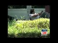 Red shirt protest freelance journalist is shot