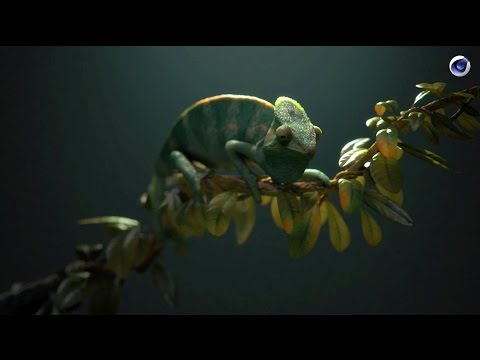 VERSUS: Using Cinema 4D to bring animals alive in still lifes / Fred Huergo (ManvsMachine)