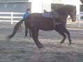 www.TWOMBLYPUBLISHING.com is the site to check out for the book HORSES and PEOPLE MATCHING....it is even more helpful and insightful than these fun and informative lesson vids ( riding instructors...here's a rainy day vid perfect to have on while the tack gets cleaned ;)