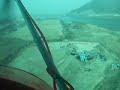 Landing Landing
