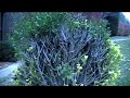 \"Peaceful Meditation- An Ambient Fantasy for Piano\" \"Peaceful Meditation- An Ambient Fantasy for Piano\"
