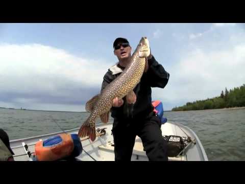 trophy northern pike fishing