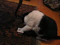 How to eat whitout spoon