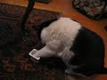 How to eat whitout spoon
