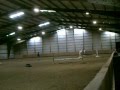 videos de Rachel and Ace 11-20-08 jumping lesson