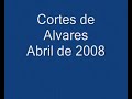 Cortes de Alvares