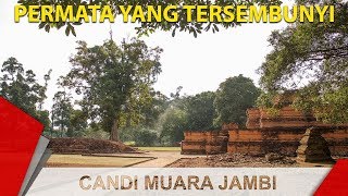 https://www.youtube.com/embed/ZwY_pVNUsj8