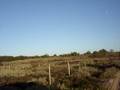 videos de 2º Passeio na Costa Vicentina dos MST