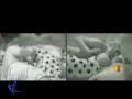 �ris e Alem�o -  Ultima Noite V