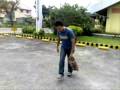 mgt skate