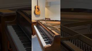 Fixing a loud Buzz In a Grand Piano