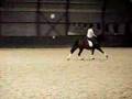 Anastasiou in galop