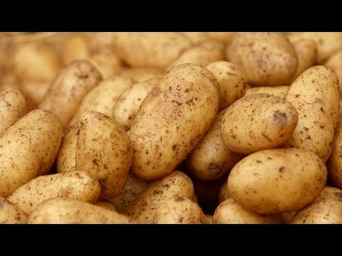 how to store potatoes after harvest