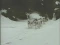Husky Team Zabljak 2002 Part II