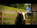 Profile: PBR Stock Contractor of the Year Jeff Robinson