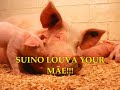 Sweet Child O' Mine - Funny Version - O Cara Tossiu Cover