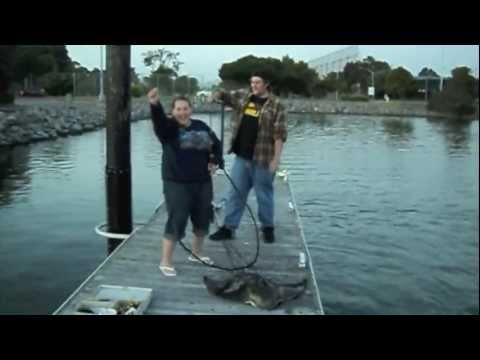 Monster Bat Ray! by Verdugoadventures!